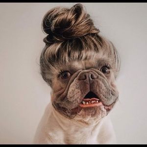 Meet your Posher, Denise